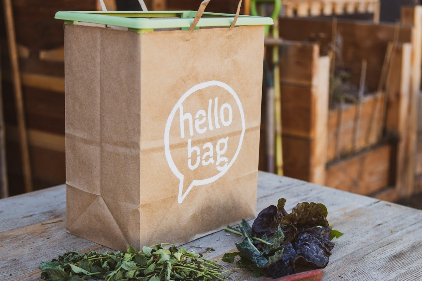 How to Compost Brown Paper Bags  Hello Bag  Hello Bag LLC
